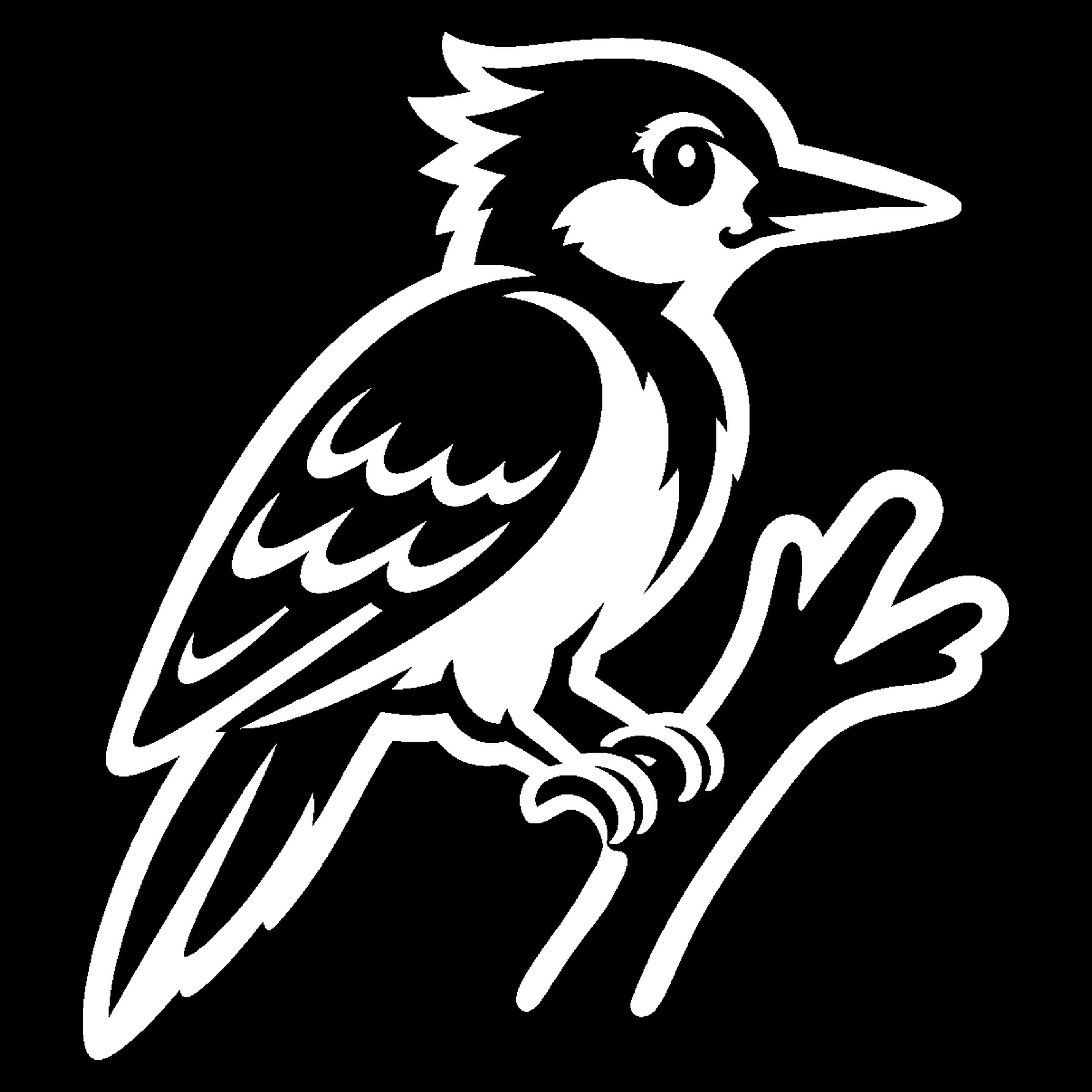 Bakfiets verfsjabloon Dieren: Specht 2 - Specht, Bosdier, Snavel, Veren - het ontwerp
