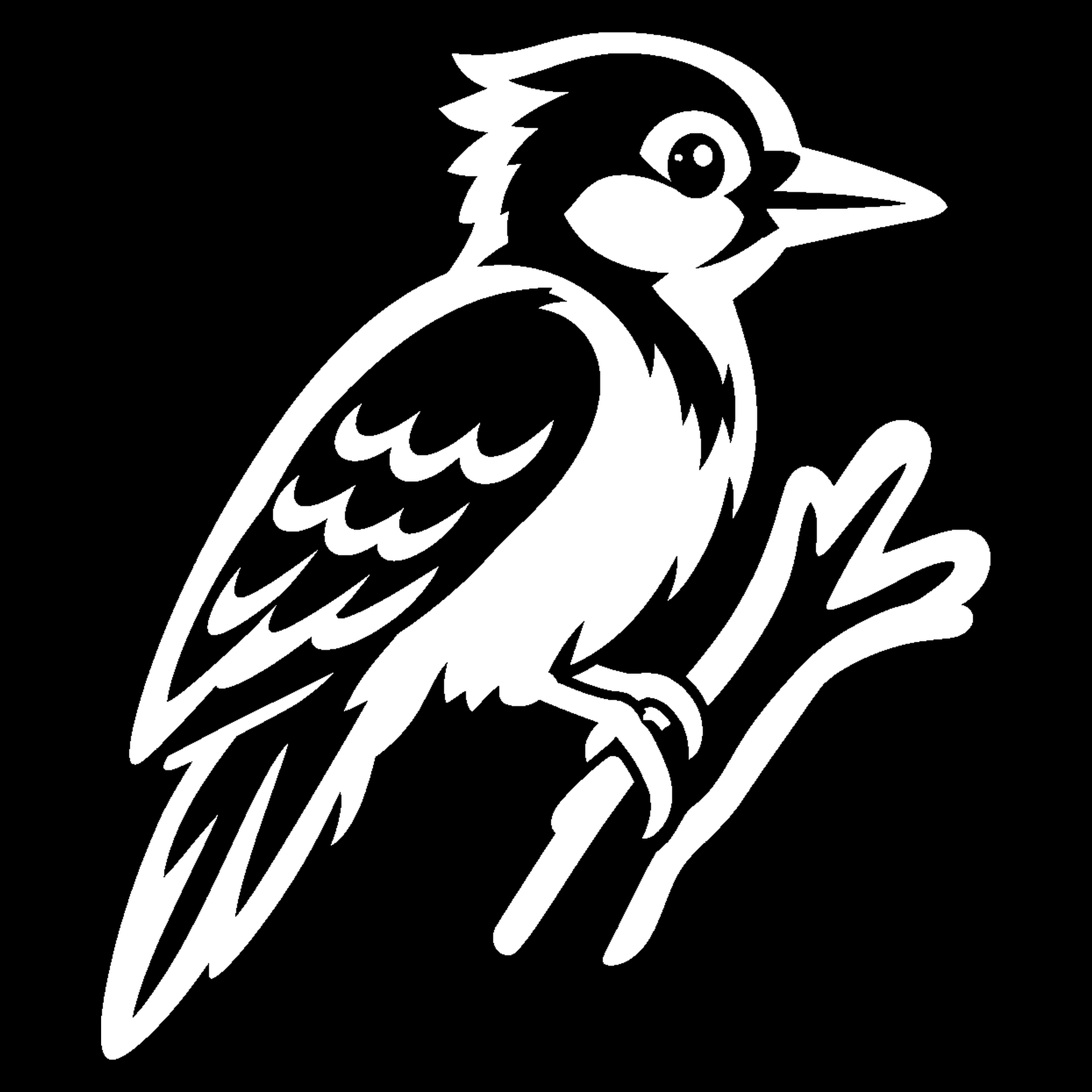 Bakfiets verfsjabloon Dieren: Specht 1 - Specht, Bosdier, Snavel, Veren - het ontwerp